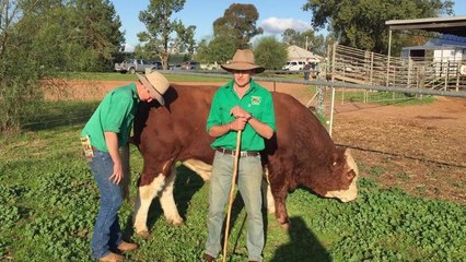Jared and Nathan Baldry speaking after the Tennysonvale sale