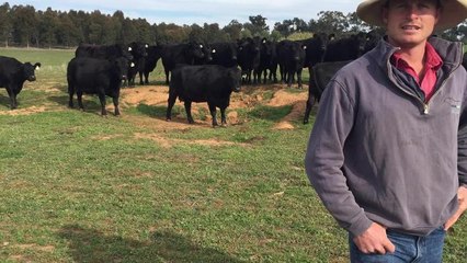 Kate and Murk Schoen talking about their Angus ambitions.