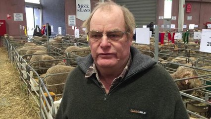 Ron Small at Bendigo Merino ram sale