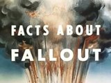 Fallout 2 : Facts about