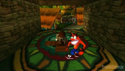 Crash Bandicoot : Un phacochère furieux