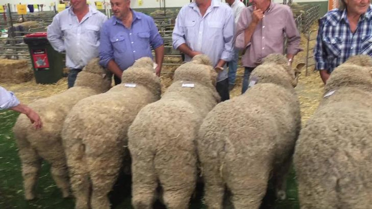 Line-up for group five March-shorn
