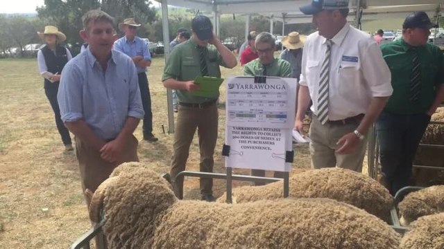 Steve Phillips opening the sale