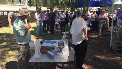 Announcing winners of Boorowa Merino ewe competition