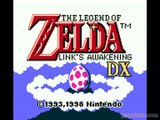 The Legend of Zelda : Link's Awakening DX : Cocolint