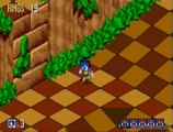 Sonic 3D : Flickies' Island : Sonic rencontre la 3D
