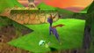 Spyro 2 : Gateway to Glimmer : Niveau n°2