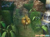 Final Fantasy X : Chocobo