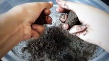 Pure Gritty Charcoal Sand Cement Water Crumble Cr: Fin Fin ASMR