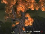 Warhammer Online : Age of Reckoning : Images pré-alpha