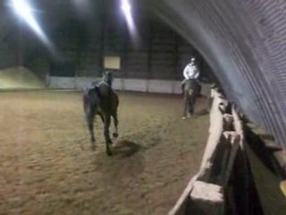 Never reprise entrainement -dressage