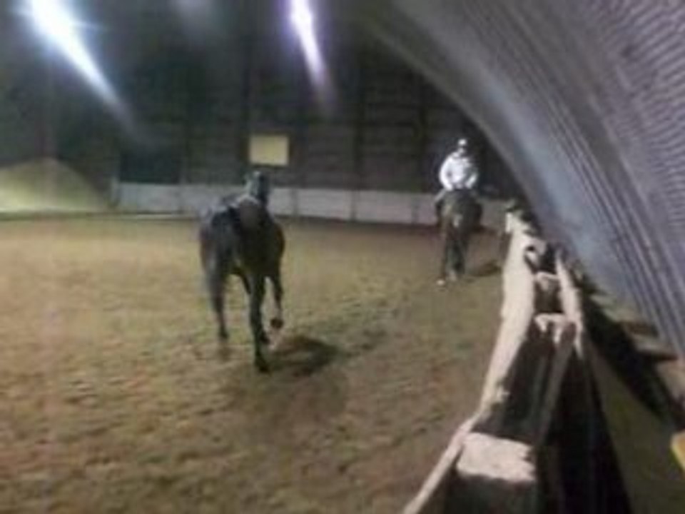 Never reprise entrainement -dressage