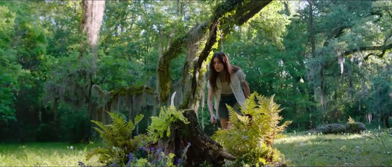 DER GESANG DER FLUSSKREBSE Film