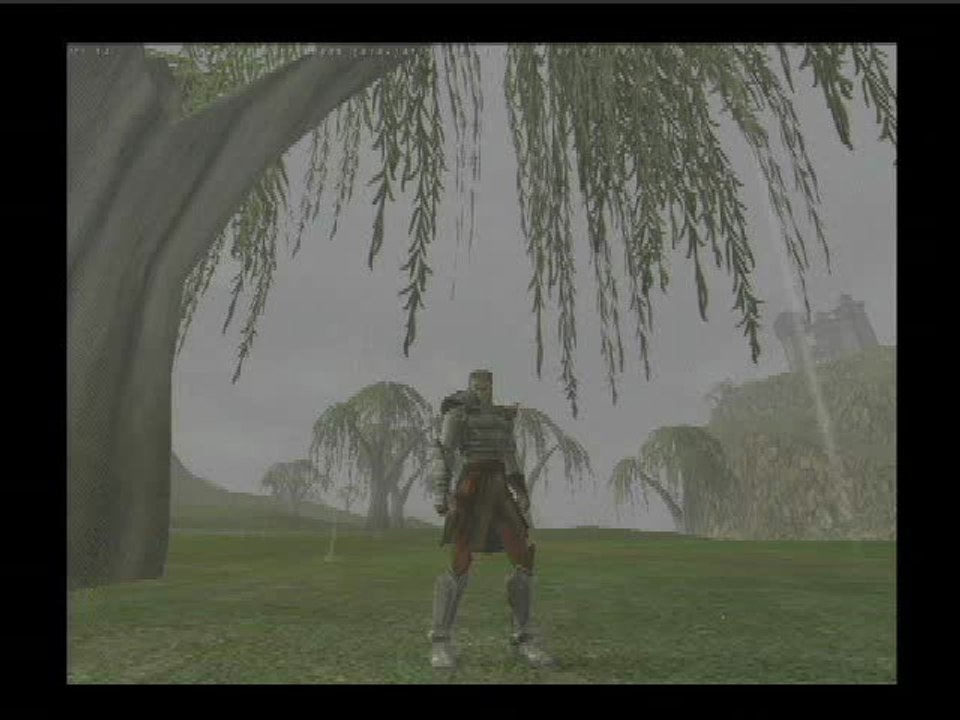 Asheron's Call 2 : Fallen Kings : Les environnements graphiques