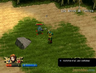 Darkstone : Petite remise à niveau avant l'assaut du donjon