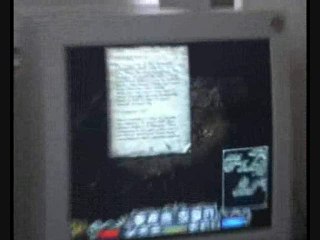 Divine Divinity : Testeurs