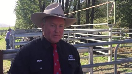 Mark Lucas pleased with bull sale