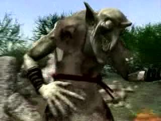 Duelfield : Prière de Troll