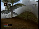 The Elder Scrolls III : Morrowind : Environnements