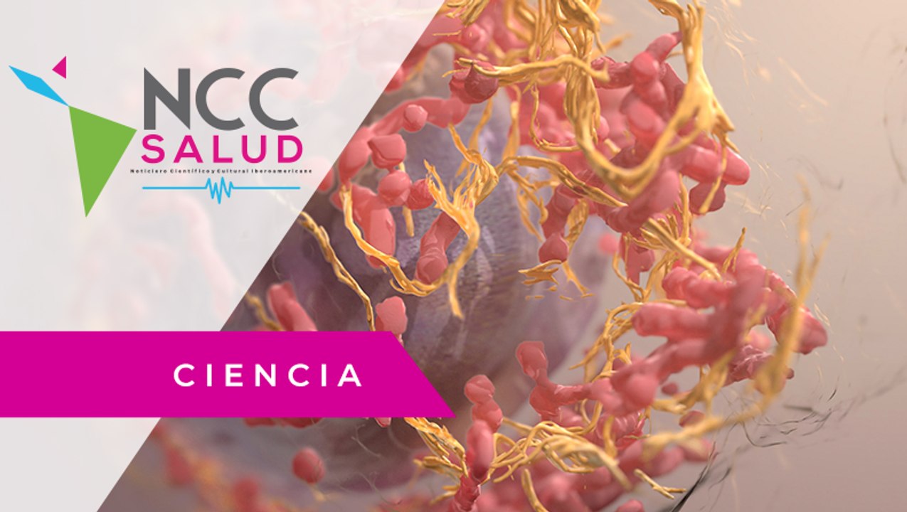 Omomyc: una proteína que sirve contra tumores p...
