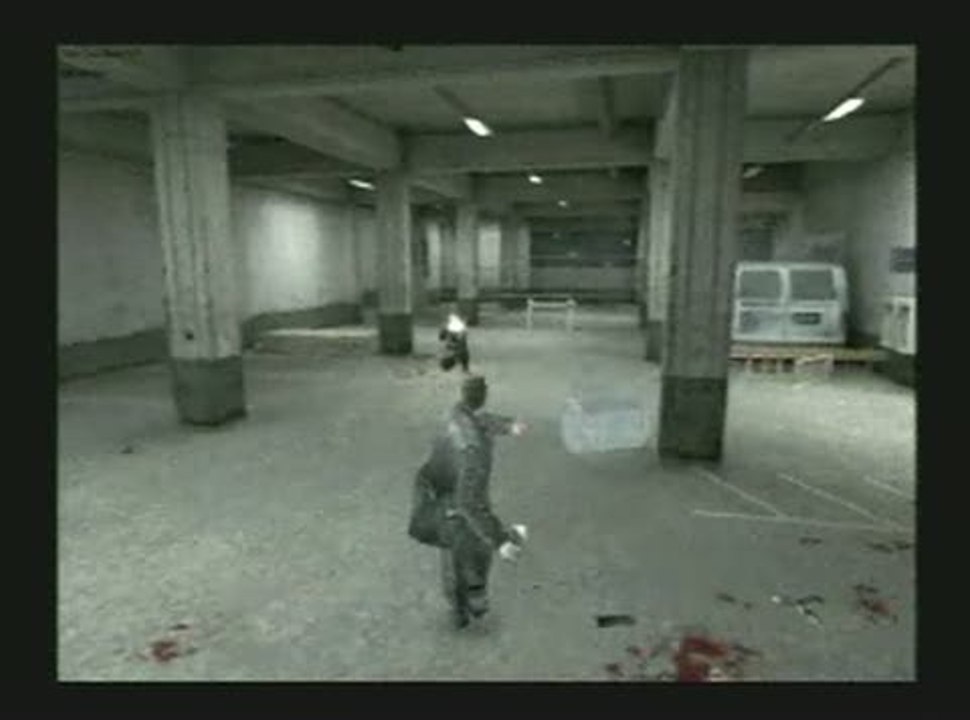 Max Payne : Parking