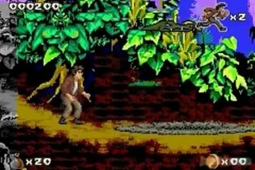 Pitfall : The Mayan Adventure : La jungle Maya