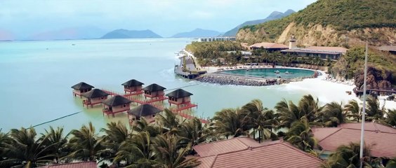 THE REQUIN DER HAI Film