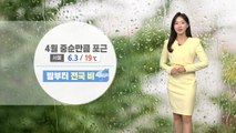 [날씨] 오늘 밤부터 전국 비...남해안·제주도 태풍급 강풍 / YTN