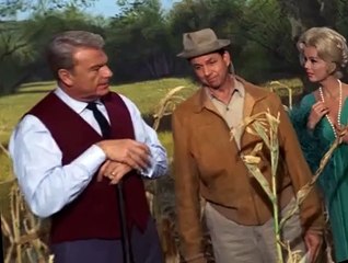 Green Acres S04 E09