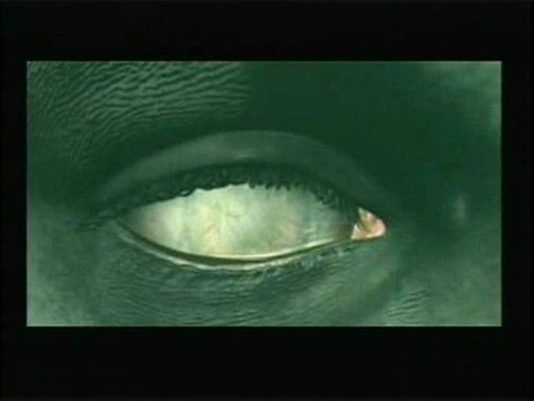 Resident Evil : Outbreak : Teaser