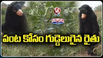 Farmer Turns As Bear To Protect His Crop From Monkeys _ Siddipet _ V6 Teenmaar