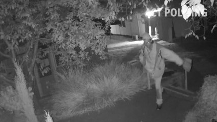 CCTV footage from the night cats were allegedly stolen from RSPCA ACT