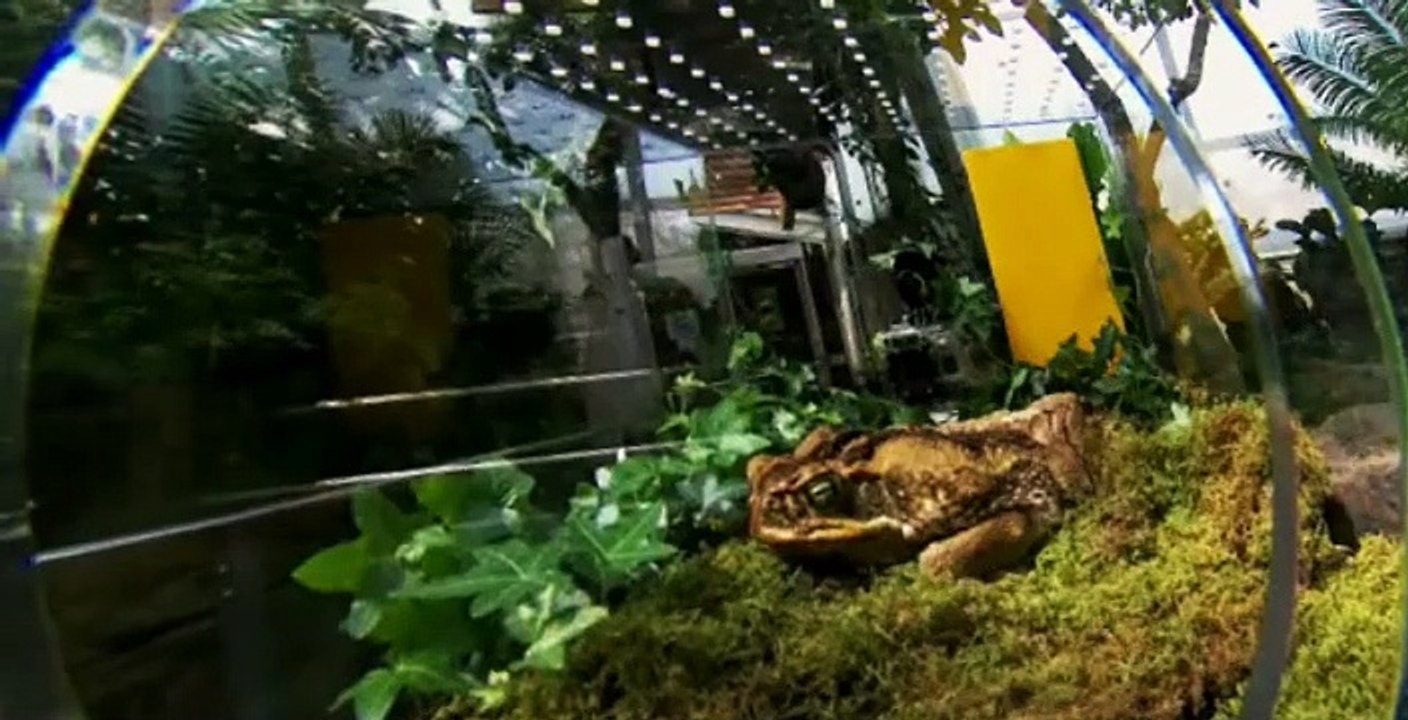 The Amazing Race Canada S01 E01