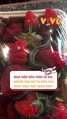 Mua hộp dâu tươi về ăn, người phụ nữ tá hỏa khi phát hiện 'đồ tặng kèm'