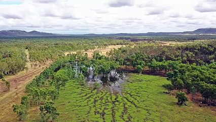 Euneeke, Springsure | March 2022 | Queensland Country Life