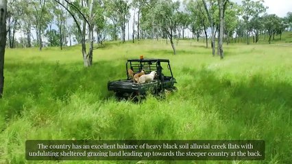 Glencoe Aggregation, Townson | March 2022 | Ray White Rural