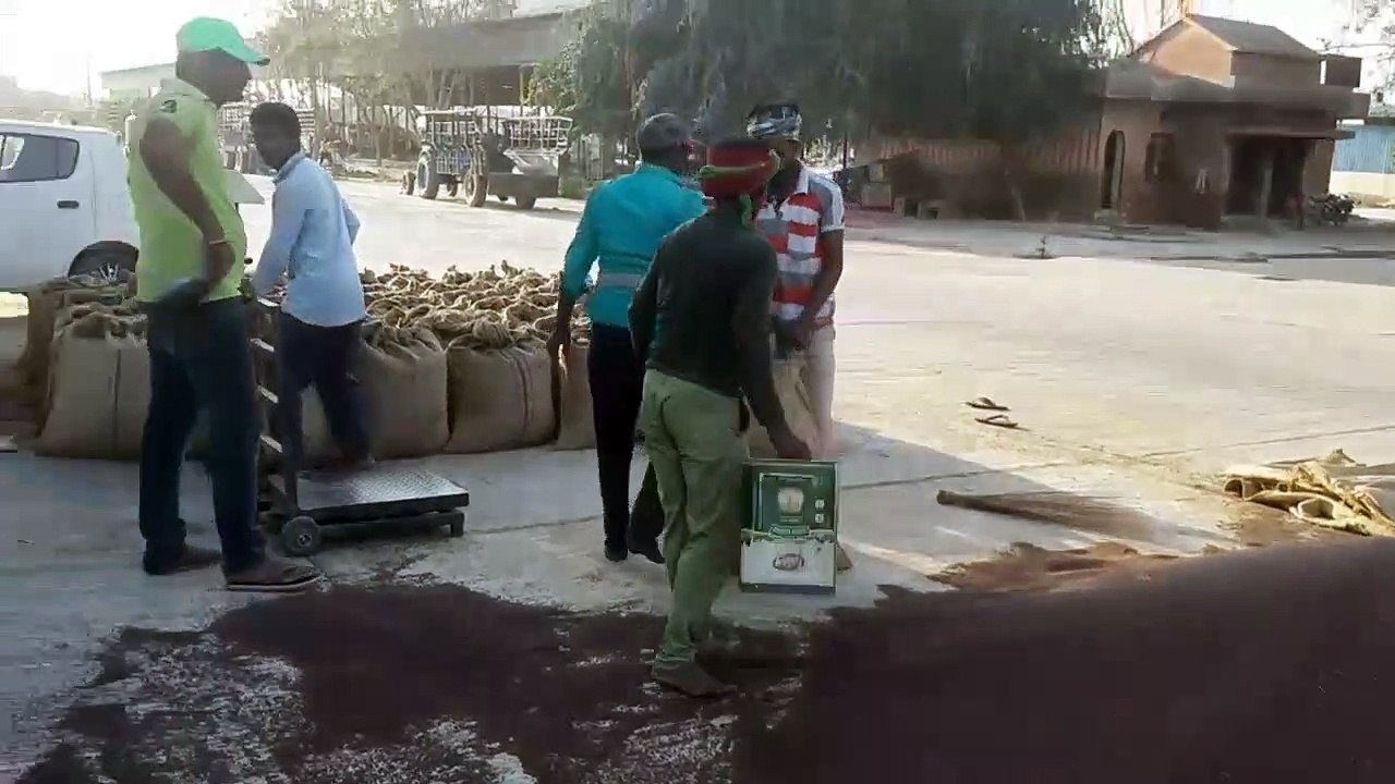 इस बार सरसों व चना की बंपर फसल,अच्छे भाव मिलने पर किसान होंगे निहाल