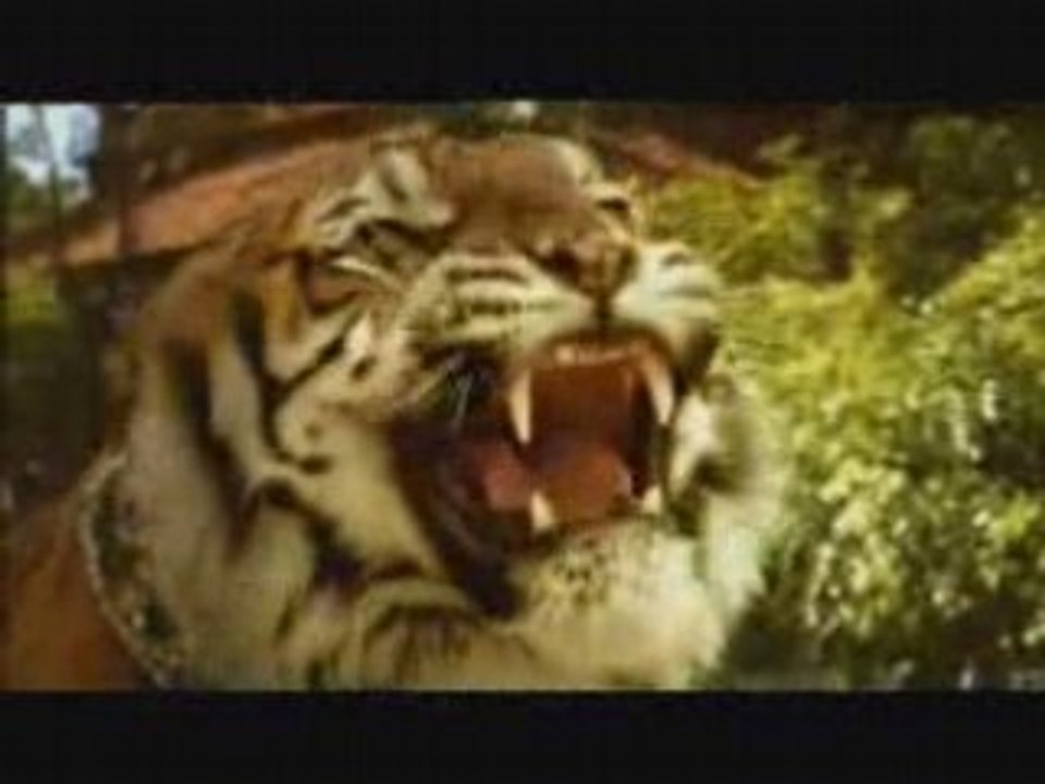 DEUX FRERES / JJ. ANNAUD