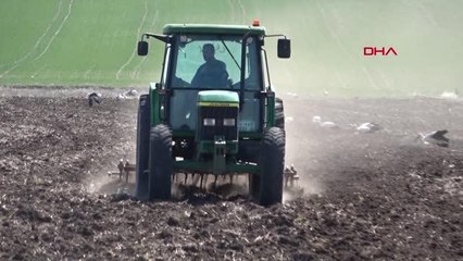AYÇİÇEĞİ EKİMİNE HAZIRLANAN ÜRETİCİ, REKOR VERİM BEKLİYOR