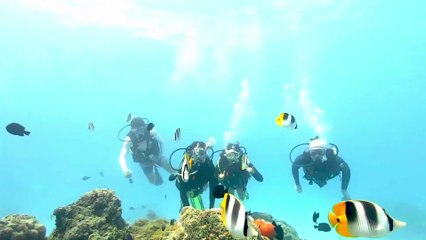 Bora Bora: a beautiful tropical island in the middle of the sea, come and see lagoon island