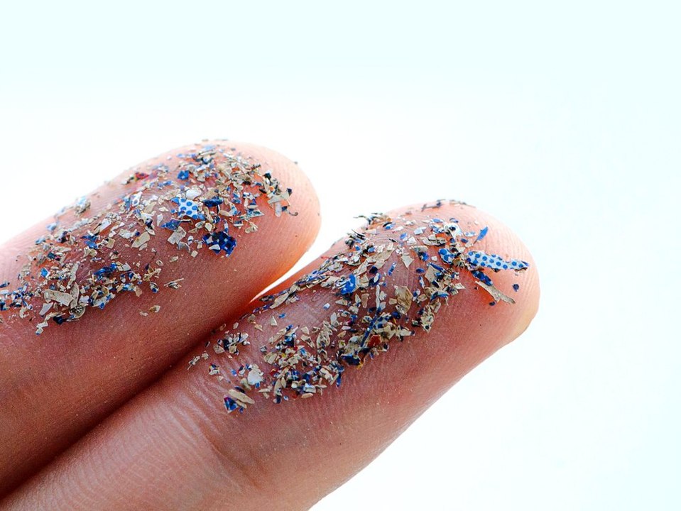 Forscher finden erstmals Mikroplastik in menschlichem Blut