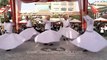 Whirling Dervishes from Turkey!