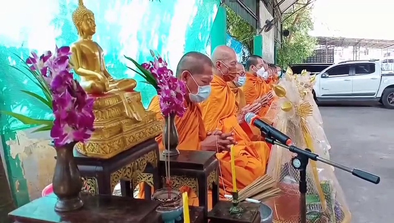 “หนิง” ปณิตา “โม” อมีนา พินิจ “จักจั่น” อคัมย์ศิริ  ร่วมไถ่ชีวิตโค-กระบือ กับสมาคมประชาคมคนตาบอด ที่อยุธยา อุทิศให้  “แตงโม” นิดา