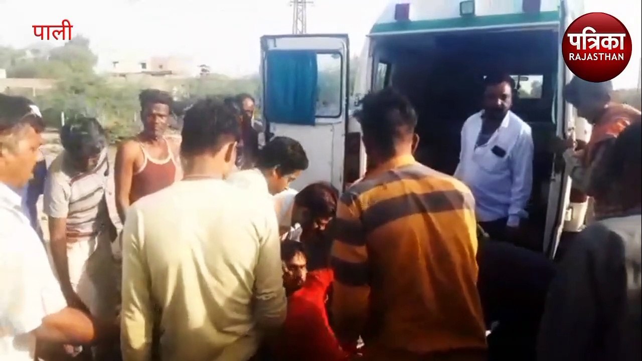 VIDEO : मवे​शियों को चपेट में लेकर ट्रोला पलटा, दो मवे​शियों की मौत, चालक-खलासी घायल