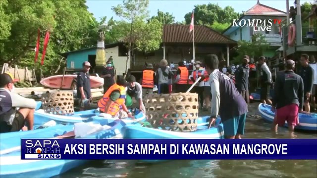 Jelang G20 di Bali, Sukarelawan Bersih-bersih Kawasan Mangrove dan Tanam Bibit Pohon Bakau