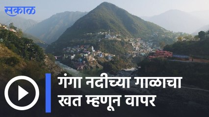 Agriculture News | गंगा नदीच्या गाळाचा खात म्हणून वापर | Sakal |