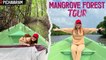 World's 2nd Largest Mangrove Forest Tour | Pichavaram Vlog | Sunita Xpress