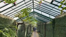 Ouverture annuelle Serres Royales de Laeken