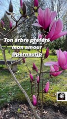 Nathalie Marquay rend hommage à Jean-Pierre Pernaut sur Instagram, le 25 mars 2022