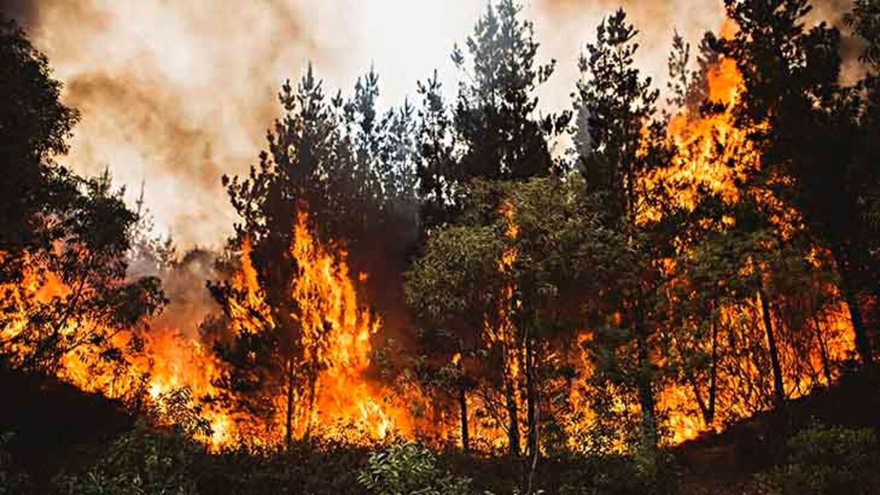 Bushfire burned out of control in ACT